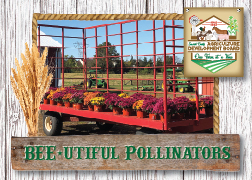 Ag_Cards-Landscape_BEE-utiful_Pollinators-Front-01