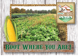 Ag_Cards-Root_Where_You_Are-Front