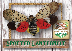 Ag_Cards-Spotted_Lanternfly-Front-01