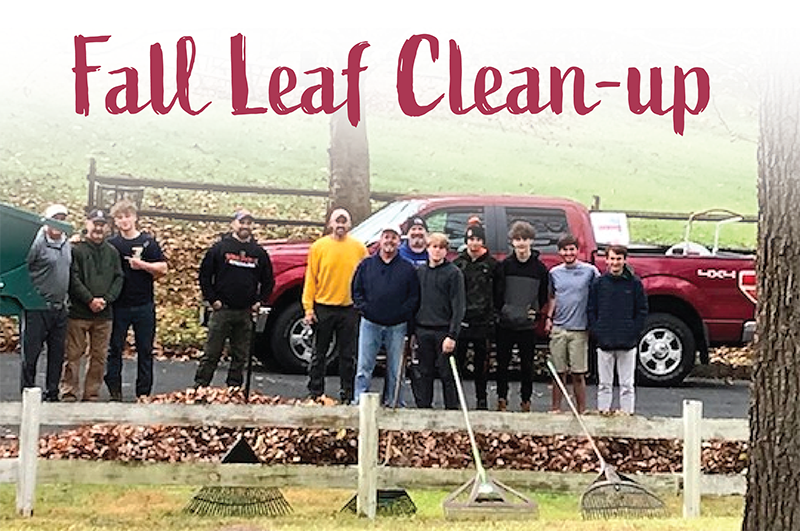 Fall Leaf Clean up