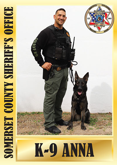 K9 Anna baseball card