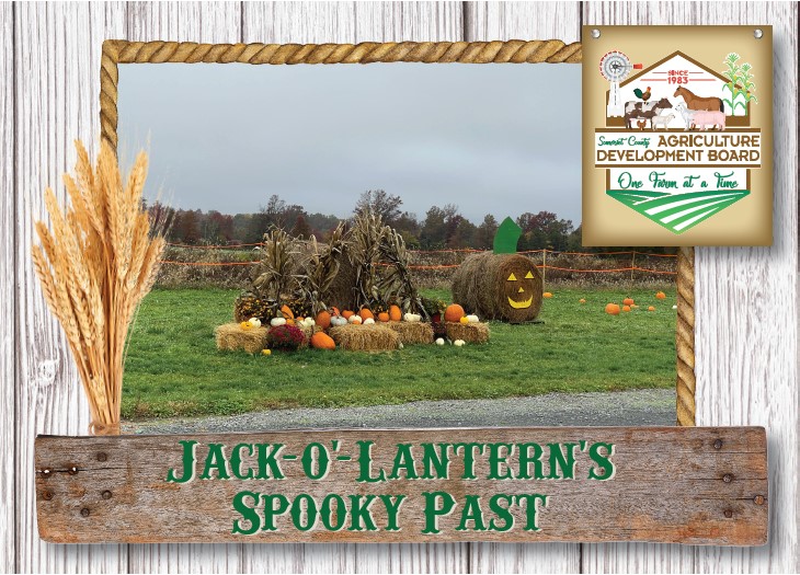 Jack O'Lantern Card Front