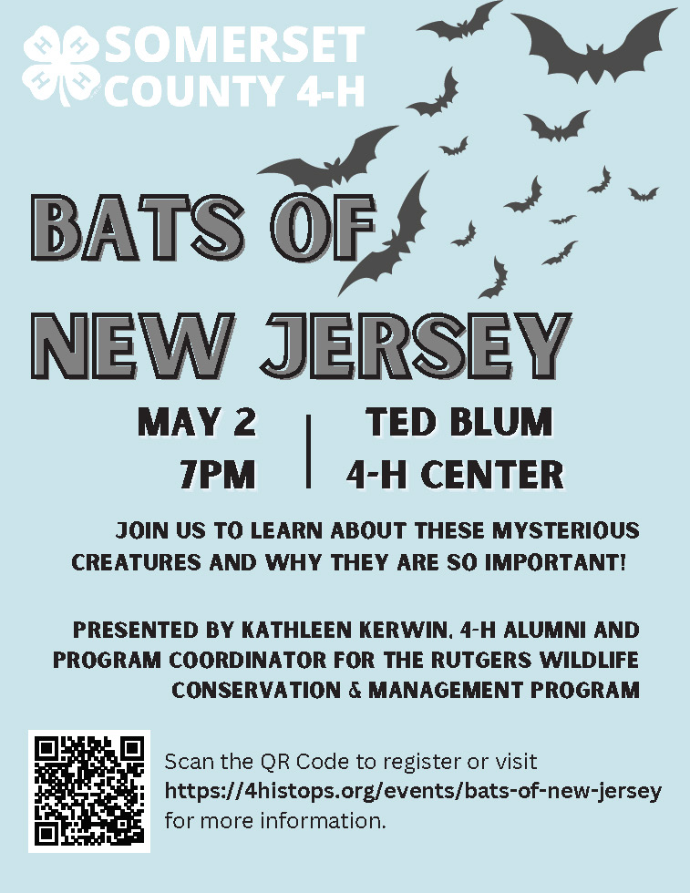 Bat Workshop flyer