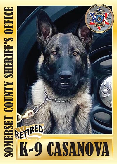 Retired K9 Casanova baseball card