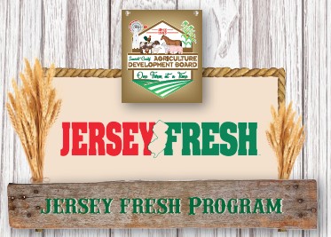 Jersey fresh card