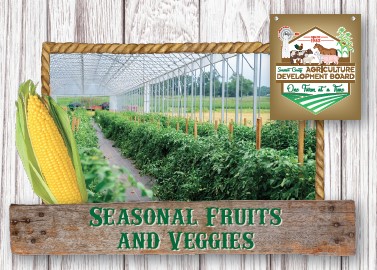 Seasonal Fruits and Veg Card