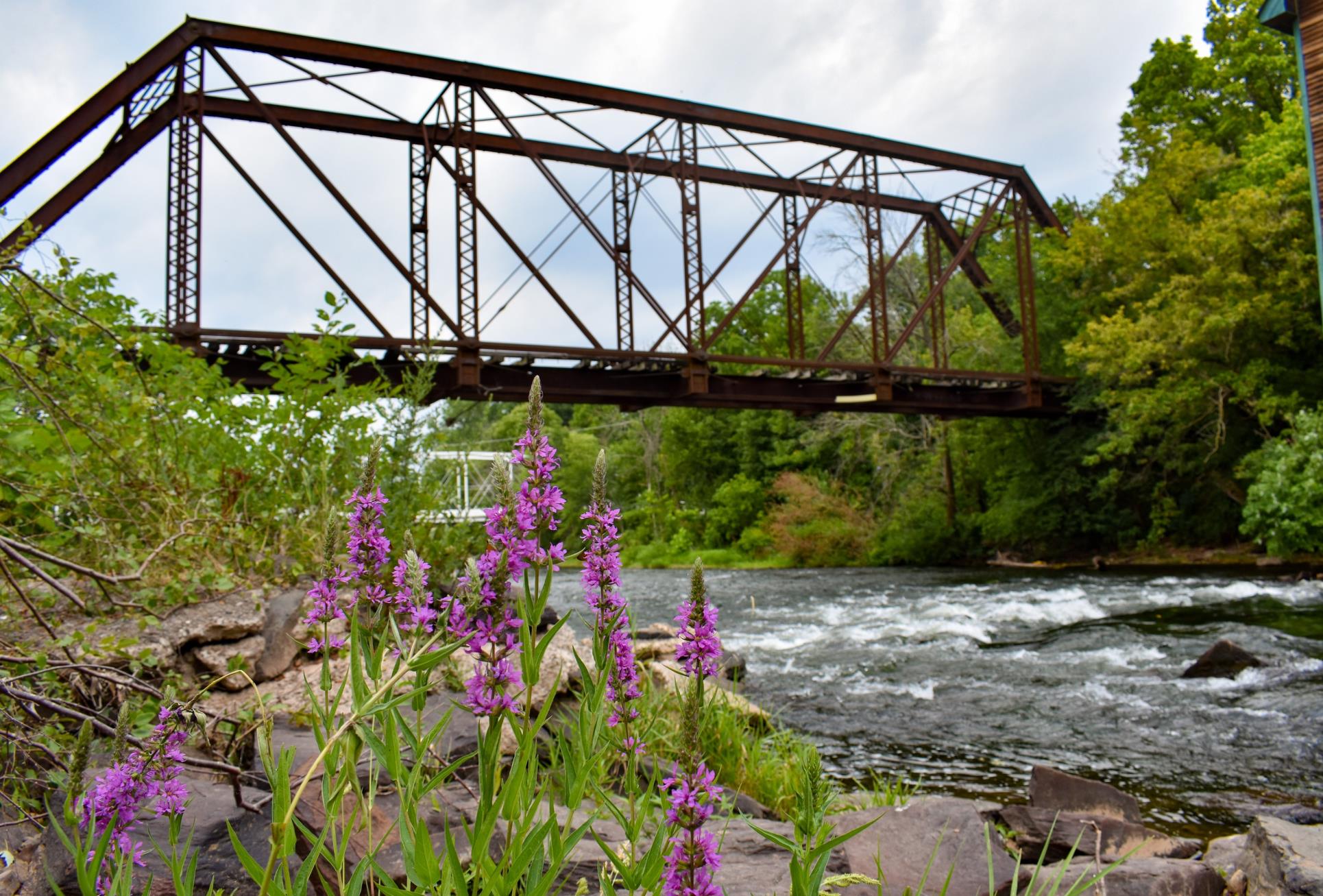 South Branch Greenway 2