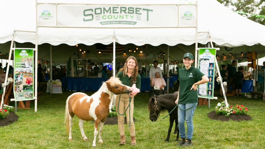 4-H Miniature Horse