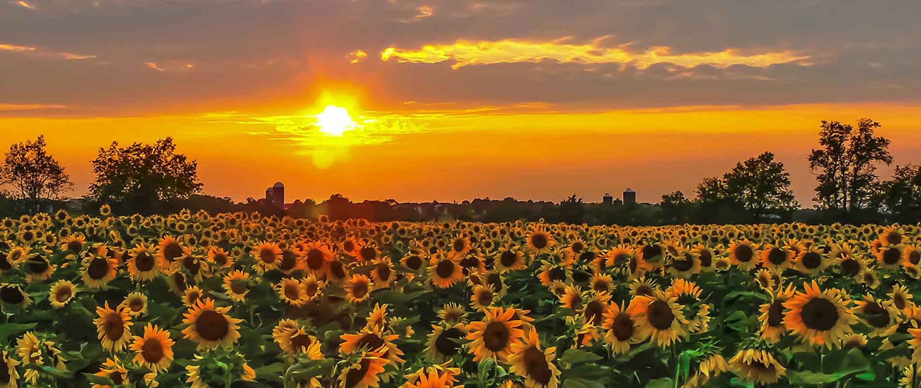 Somerset County Through YOUR Camera Lens 2015 Photo Contest, Overall WInner & 1st Place Natural Environment, submitted by Gary Wiesner