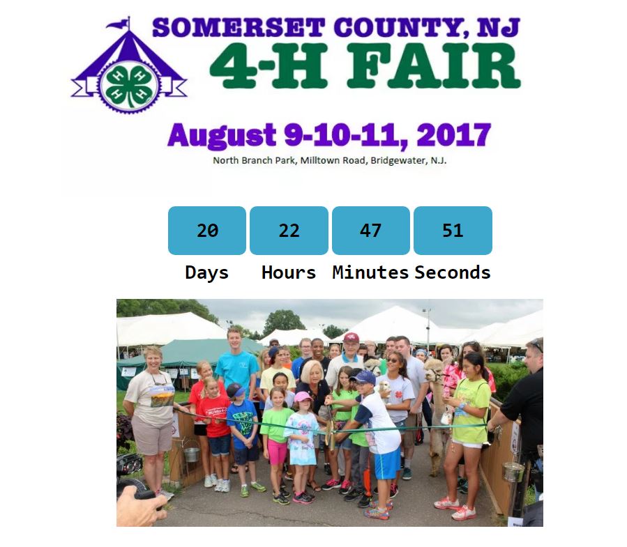 Image of 4-H Fair website