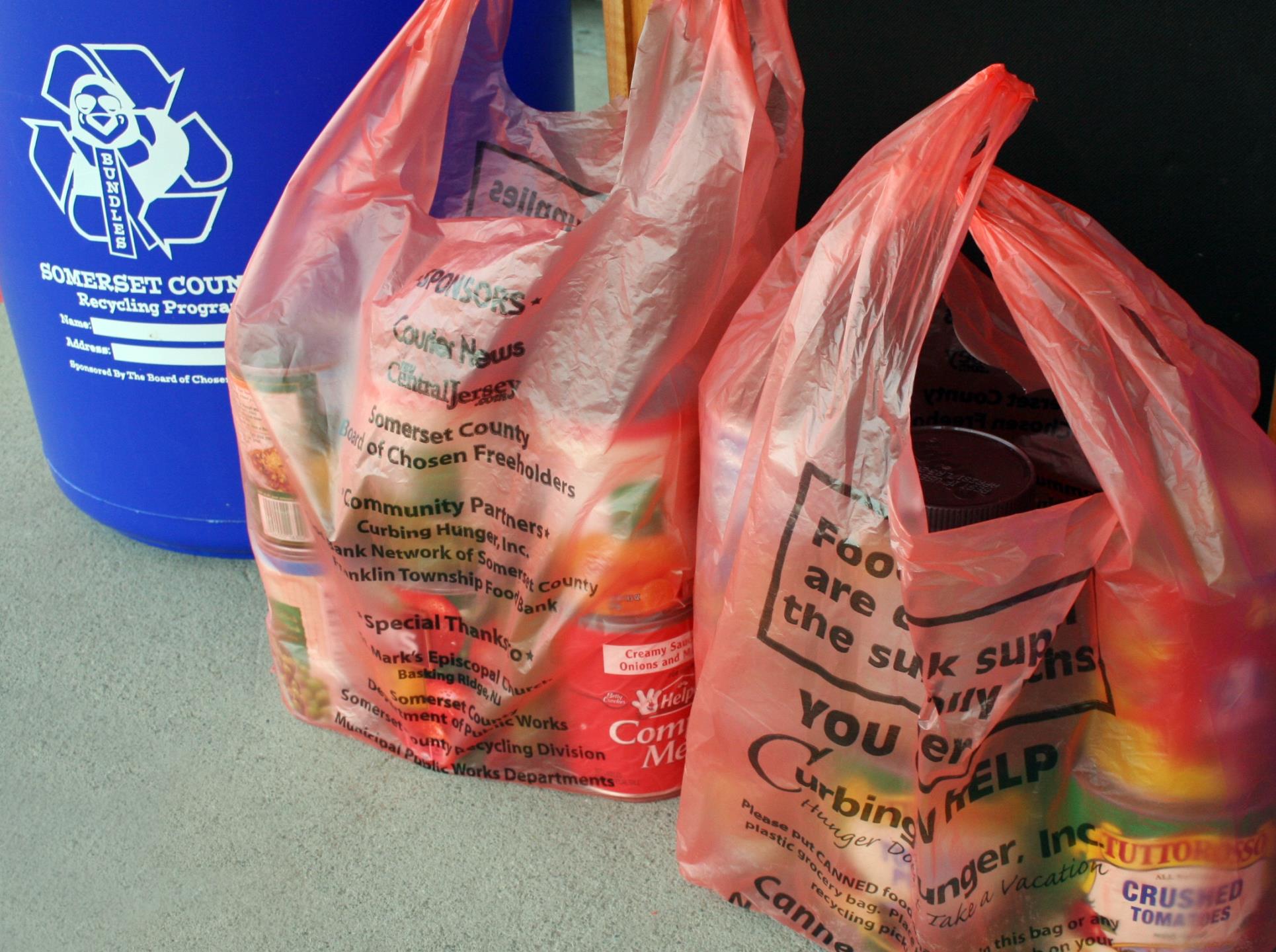 Curbing Hunger Orange Bags