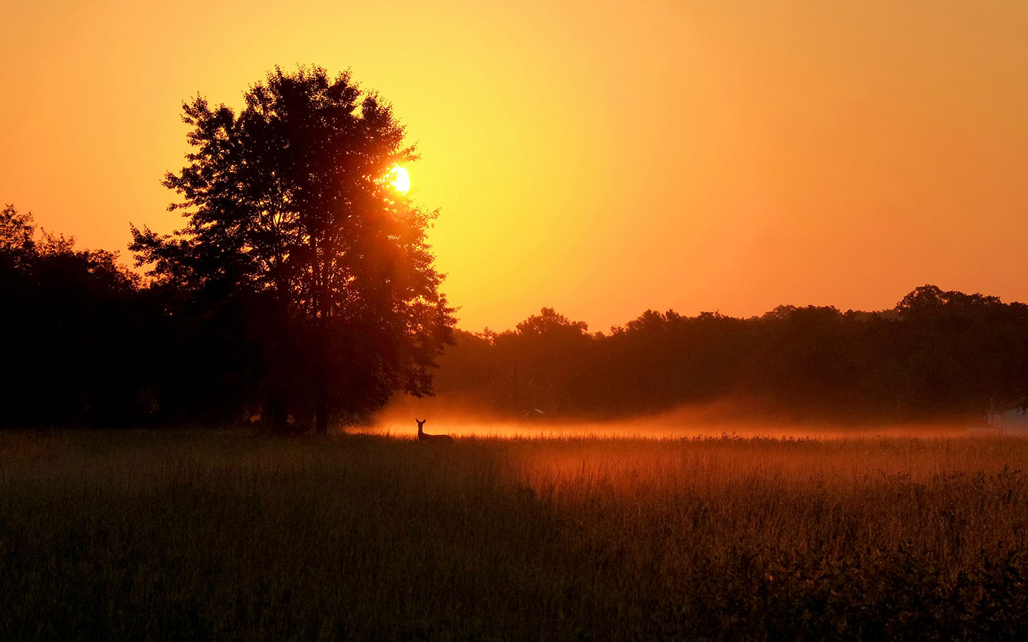 Somerset County Through YOUR Camera Lens 2020 Photo Contest, 2nd Place Natural Environment, by Allison Thomas of Manville