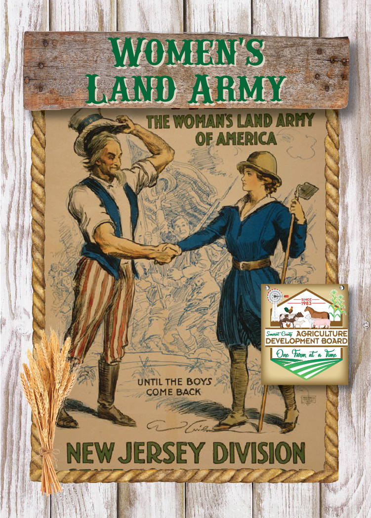 Ag_Cards-Portrait-NJWomen'sLandArmy-front