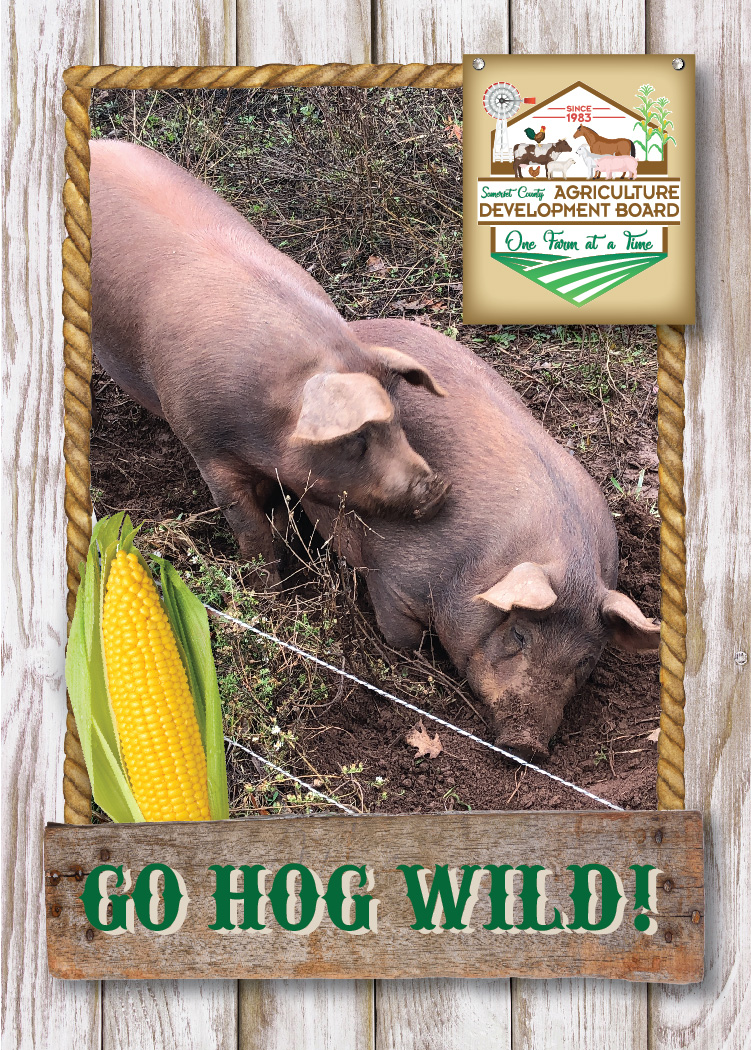 Ag_Cards-Portrait-HogWild-front