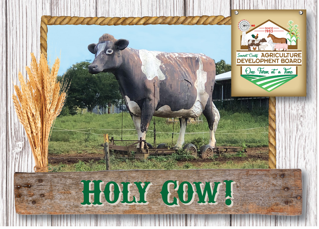 Ag_Cards-Landscape-HolyCow-front