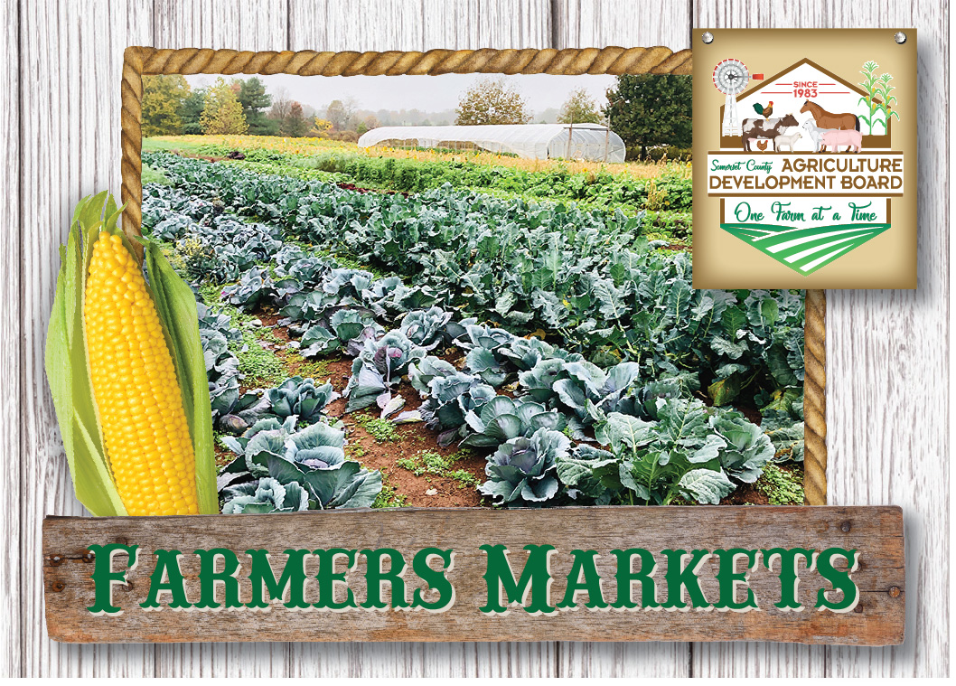 Ag_Cards-Landscape-FarmersMarkets-front