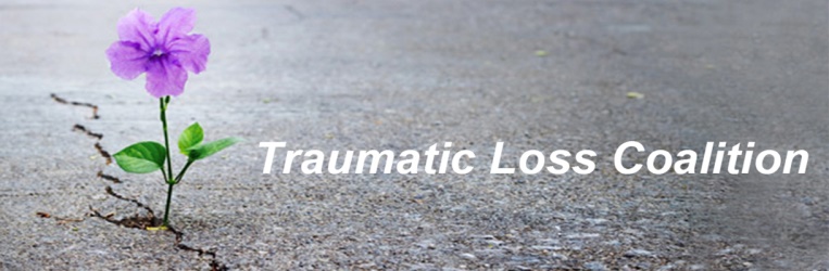 Traumatic Loss 2